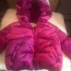 Gymboree puffy jacket